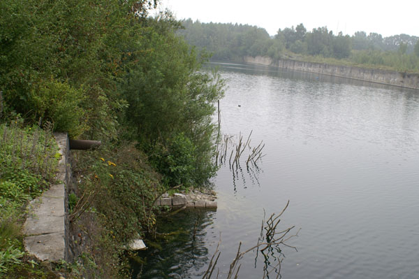 scouffleny